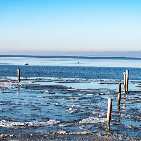 Blinkfeuer By Interhome Apartment *